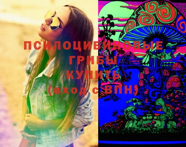 ПСИЛОЦИБИНОВЫЕ ГРИБЫ Краснослободск